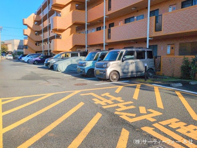撮影日(2024-11-11 00:00:00)