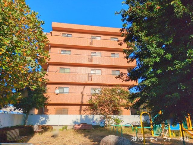撮影日(2024-11-11 00:00:00)