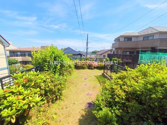撮影日(2025-06-06 00:00:00)
