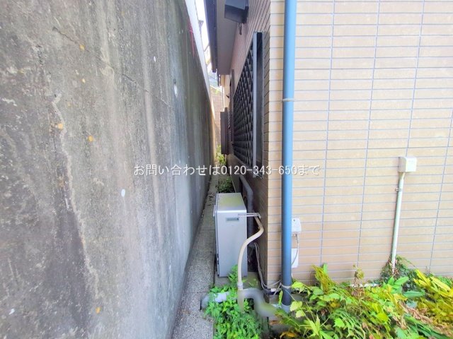 撮影日(2025-06-06 00:00:00)