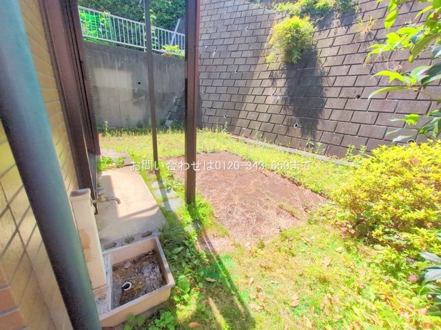 撮影日(2025-06-06 00:00:00)