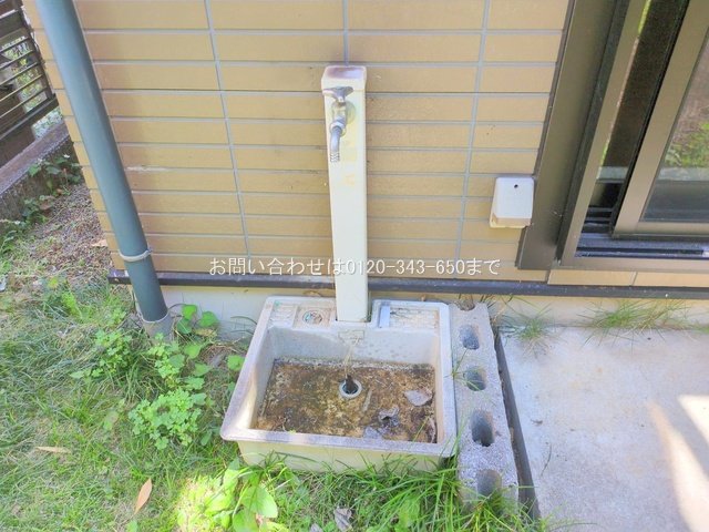 撮影日(2025-06-06 00:00:00)