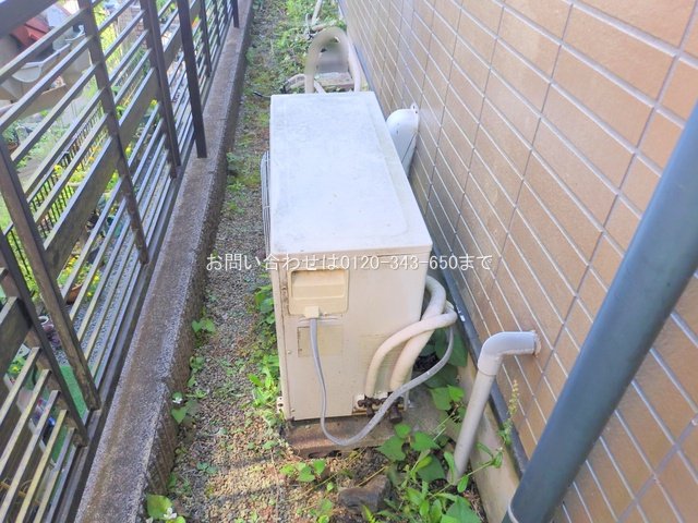 撮影日(2025-06-06 00:00:00)