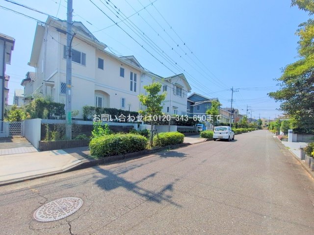 撮影日(2025-08-26 00:00:00)