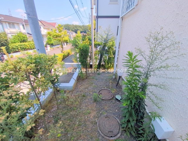 撮影日(2025-08-26 00:00:00)