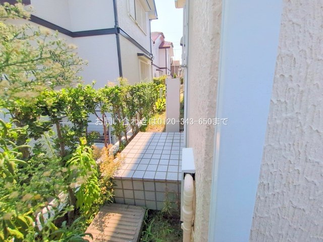 撮影日(2025-08-26 00:00:00)