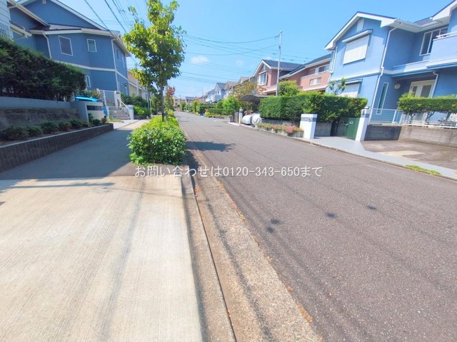 撮影日(2025-08-26 00:00:00)