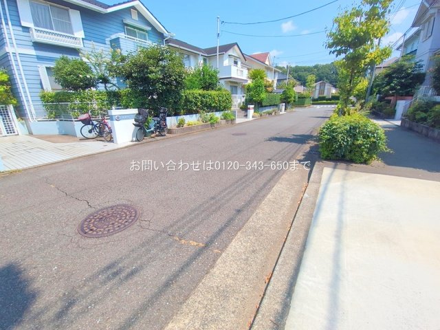 撮影日(2025-08-26 00:00:00)