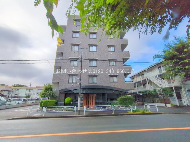 撮影日(2025-06-26 00:00:00)