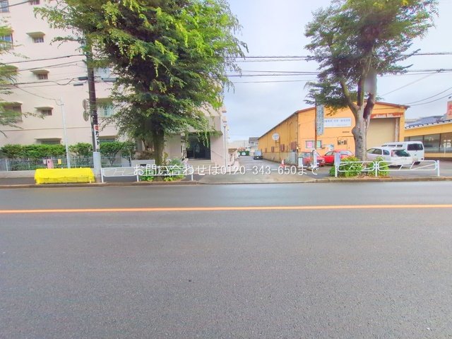 撮影日(2025-06-26 00:00:00)