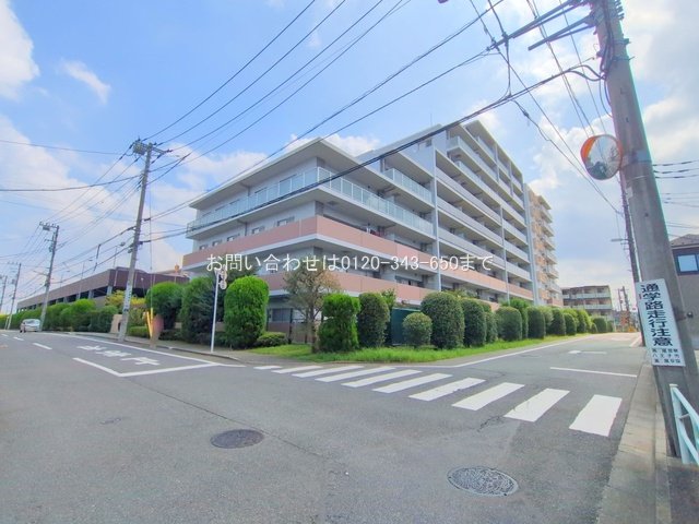 撮影日(2025-09-16 00:00:00)
