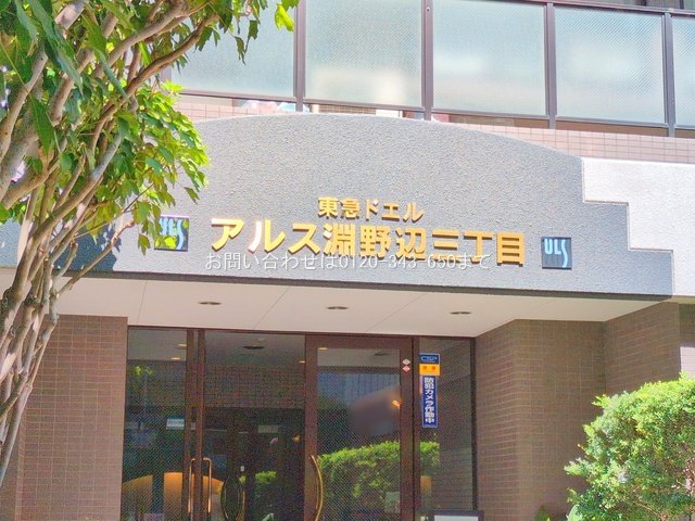撮影日(2025-09-17 00:00:00)