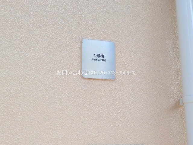 撮影日(2025-09-25 00:00:00)