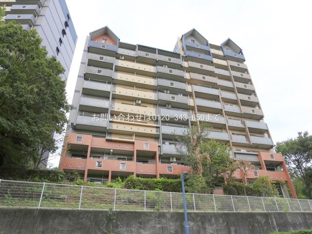撮影日(2024-09-19 00:00:00)