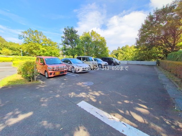撮影日(2025-09-25 00:00:00)