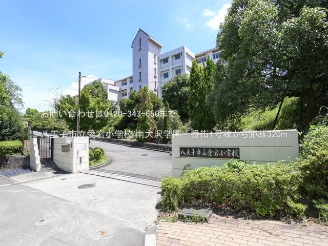 八王子市立愛宕小学校 撮影日(2024-08-01) 320m