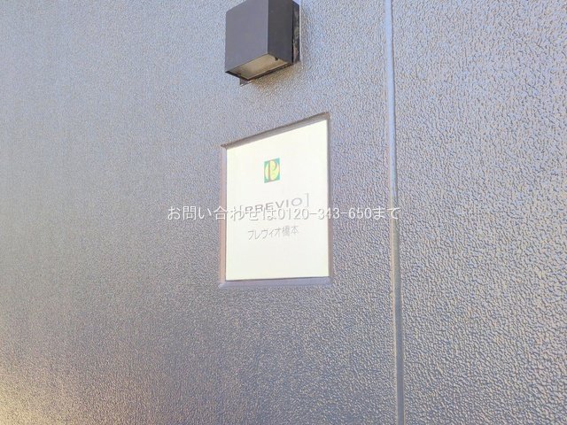 撮影日(2025-05-07 00:00:00)