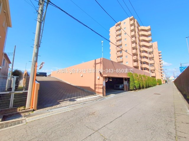 撮影日(2025-05-07 00:00:00)