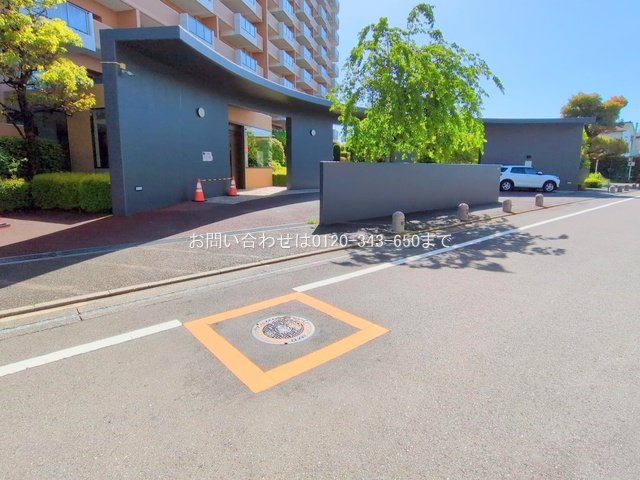 撮影日(2025-05-07 00:00:00)