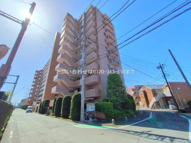 撮影日(2025-05-07 00:00:00)