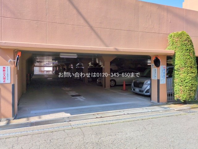 撮影日(2025-05-07 00:00:00)
