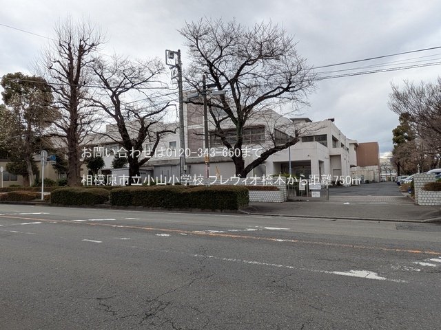 相模原市立小山小学校 撮影日(2025-03-18) 750m