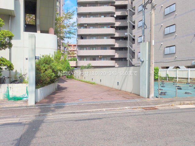 撮影日(2025-09-30 00:00:00)