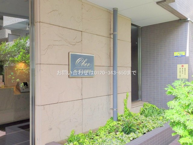 撮影日(2025-09-30 00:00:00)