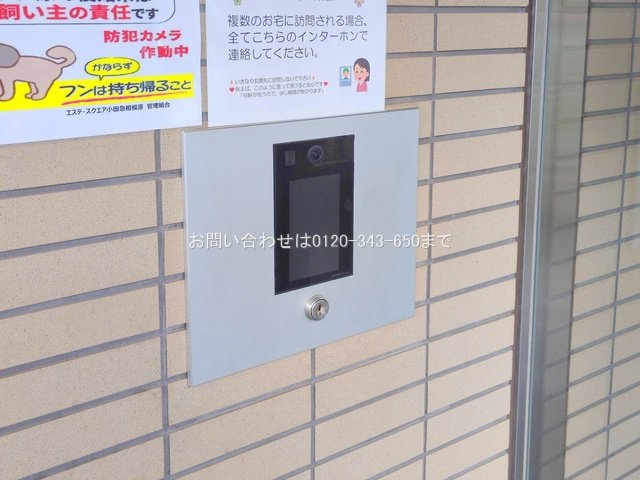 撮影日(2025-09-29 00:00:00)