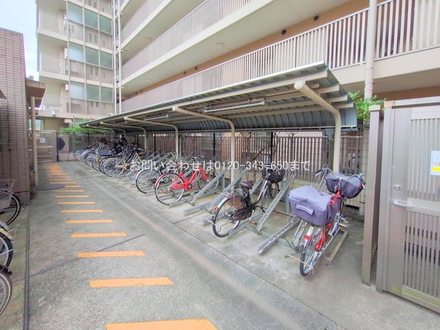 撮影日(2025-09-29 00:00:00)