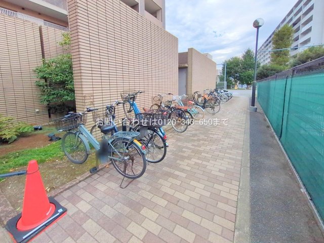 撮影日(2025-09-29 00:00:00)