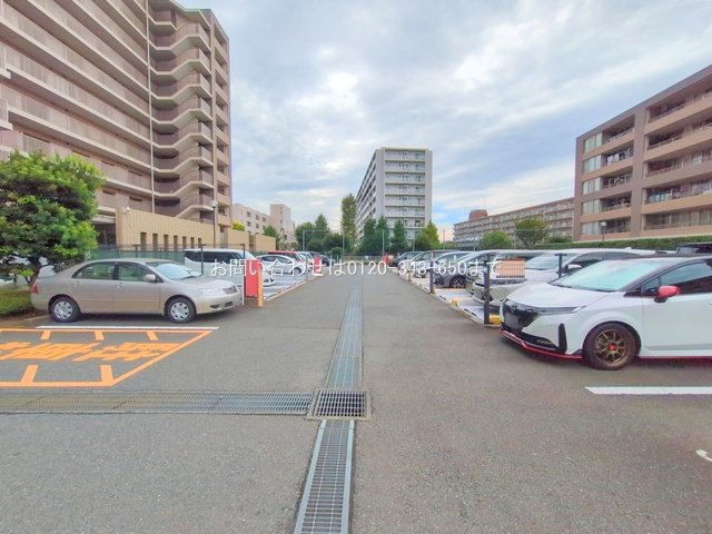 撮影日(2025-09-29 00:00:00)