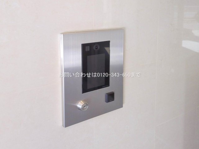 撮影日(2025-02-19 00:00:00)