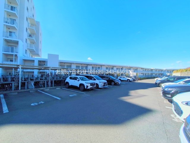 撮影日(2025-02-19 00:00:00)