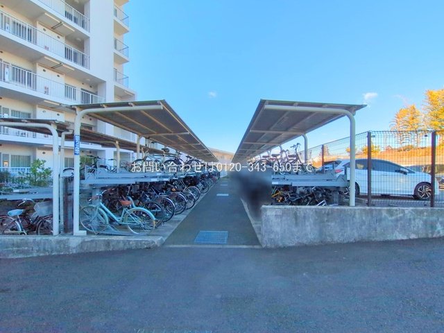 撮影日(2025-02-19 00:00:00)