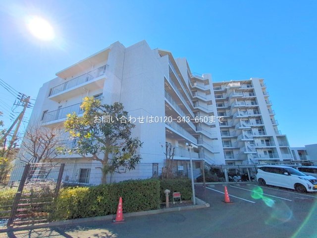 撮影日(2025-02-19 00:00:00)