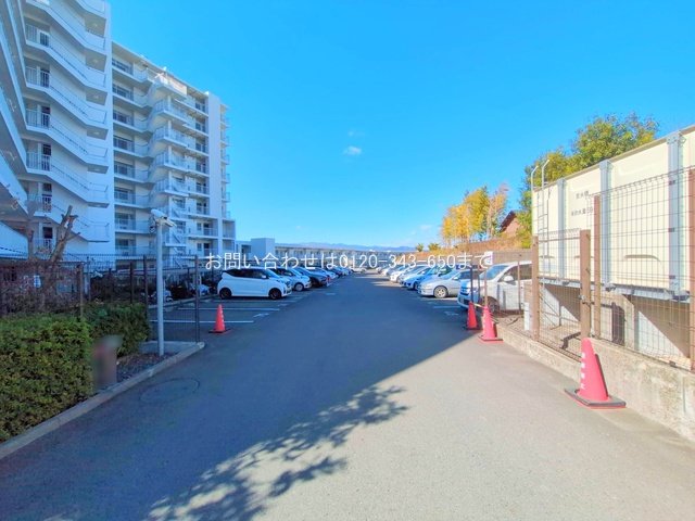 撮影日(2025-02-19 00:00:00)