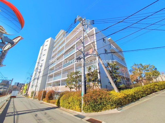 撮影日(2025-02-19 00:00:00)