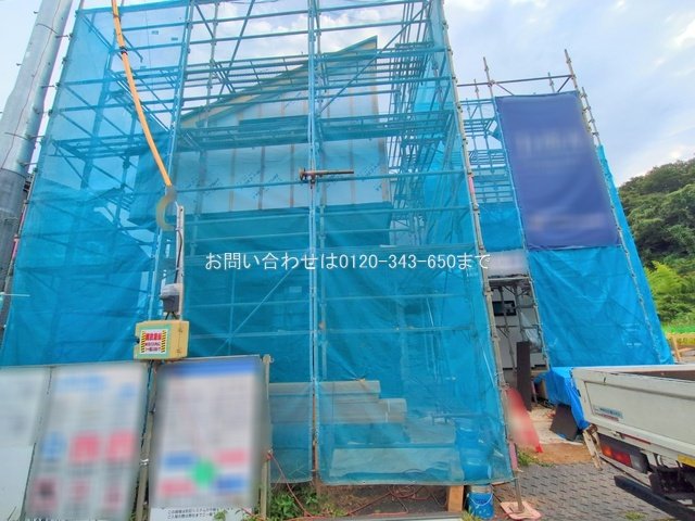 撮影日(2025-08-07 00:00:00)