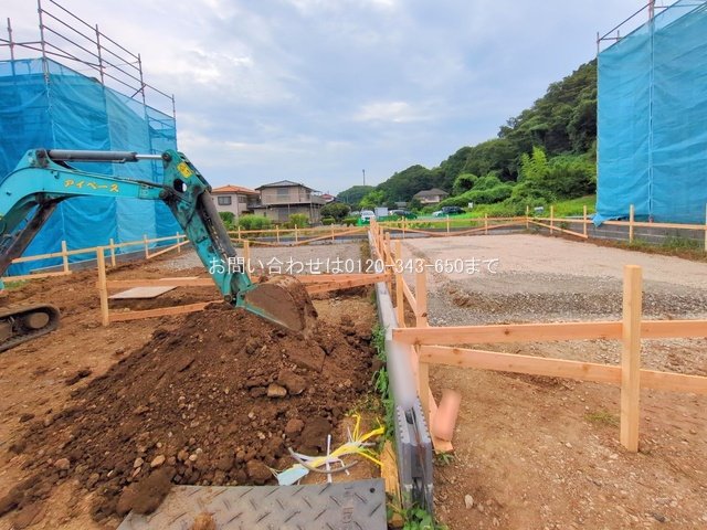 撮影日(2025-08-07 00:00:00)