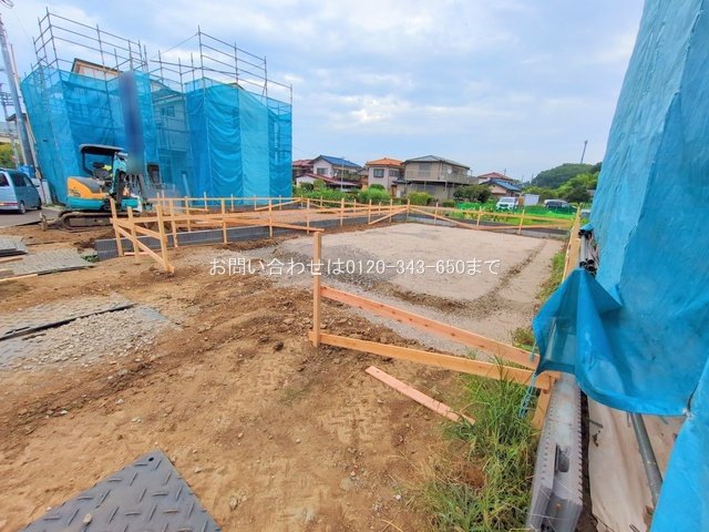 撮影日(2025-08-07 00:00:00)