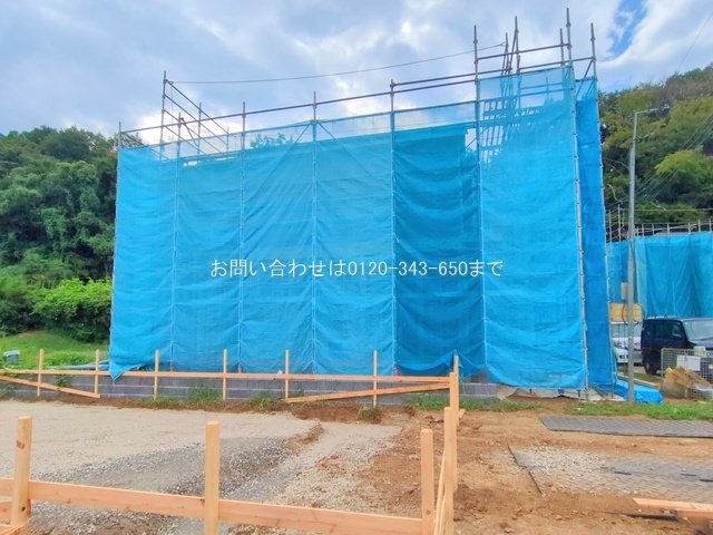 撮影日(2025-08-07 00:00:00)