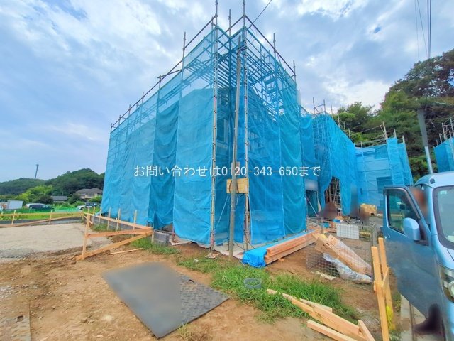 撮影日(2025-08-07 00:00:00)