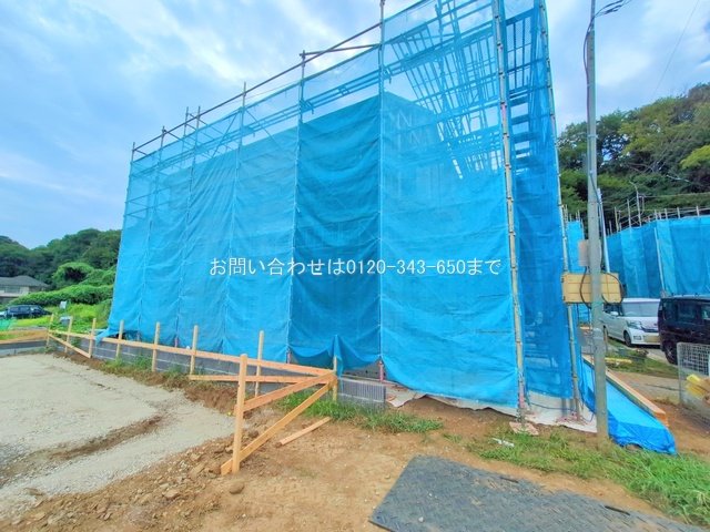 撮影日(2025-08-07 00:00:00)
