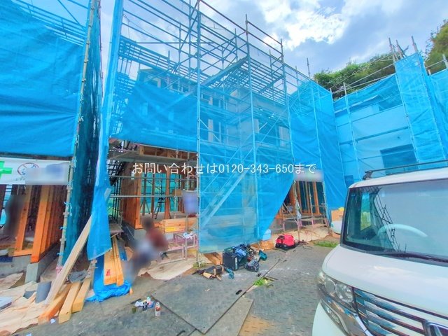 撮影日(2025-08-07 00:00:00)