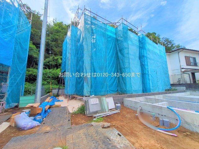 撮影日(2025-08-07 00:00:00)
