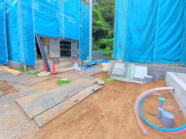 撮影日(2025-08-07 00:00:00)