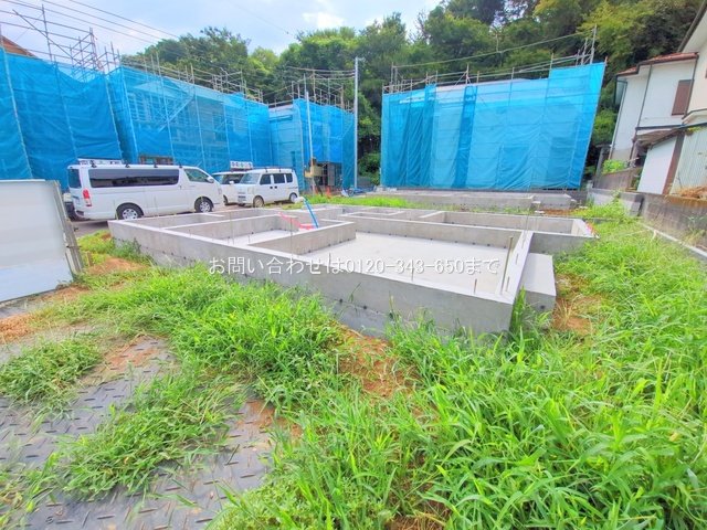 撮影日(2025-08-07 00:00:00)