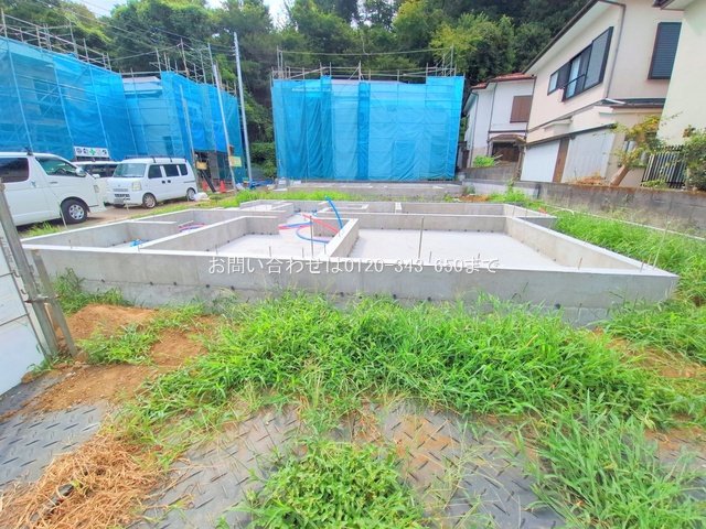 撮影日(2025-08-07 00:00:00)