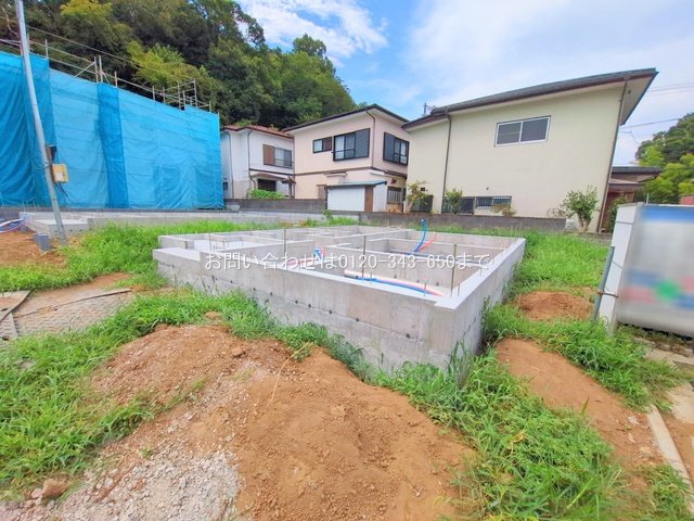 撮影日(2025-08-07 00:00:00)